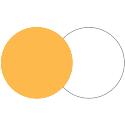 Lastolite 75cm Reflector - Gold/White